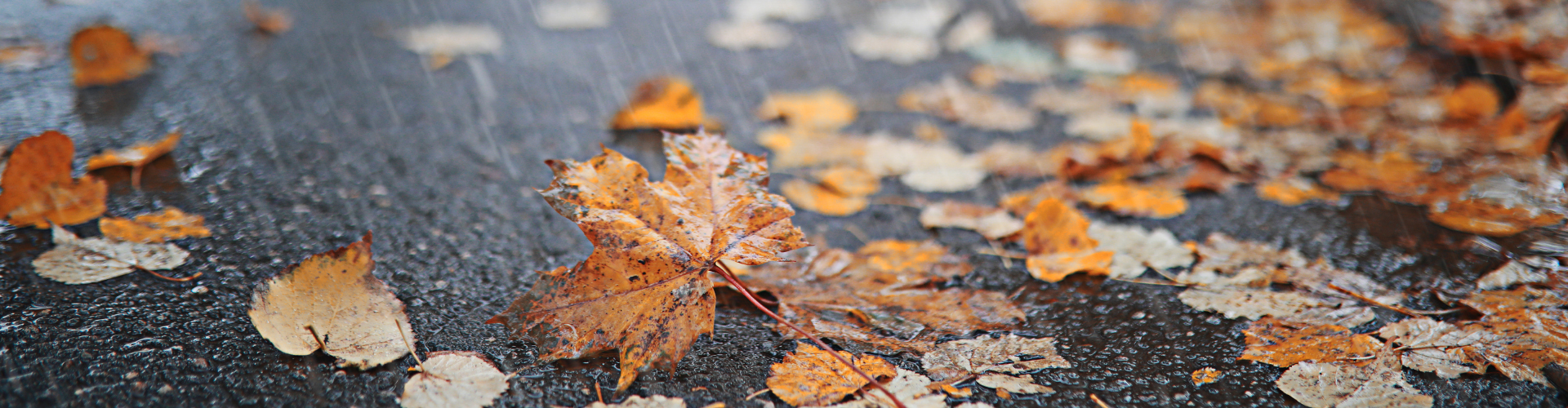 Winter safety autumn radiator